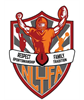 New Lenox Youth Football Association